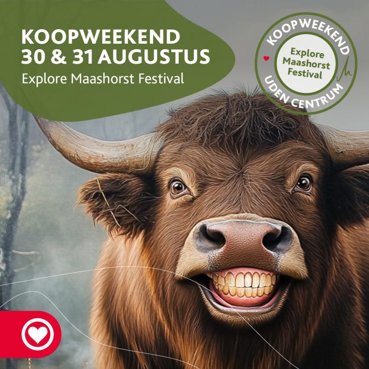 Uden Centrum wordt ht podium voor het Explore Maashorst Festival 0