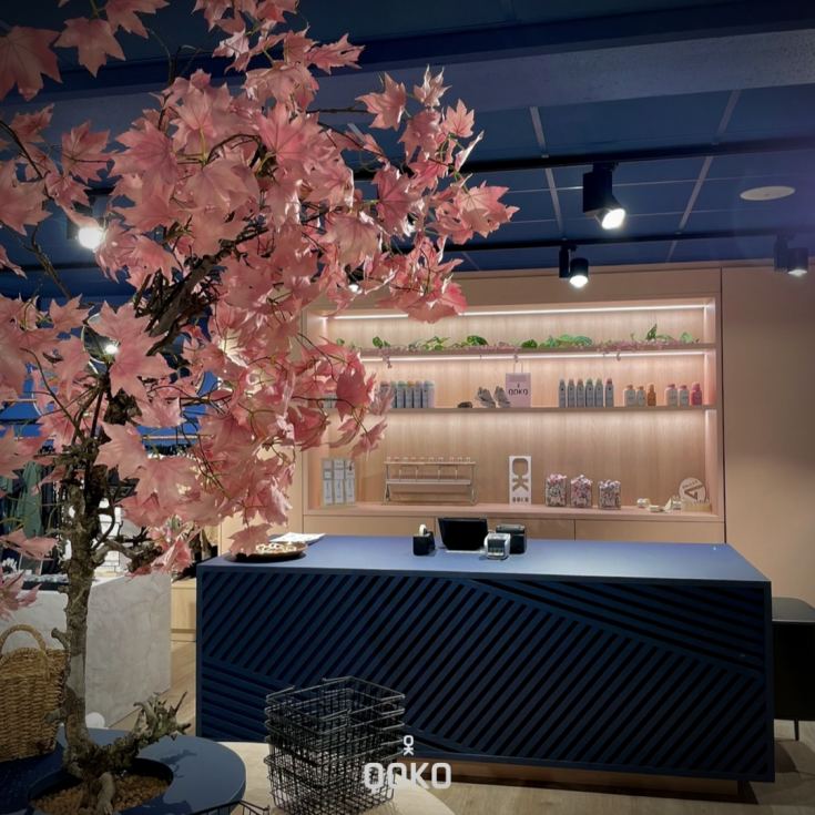 Qoko Concept Store