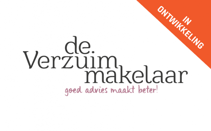 De Verzuim Makelaar